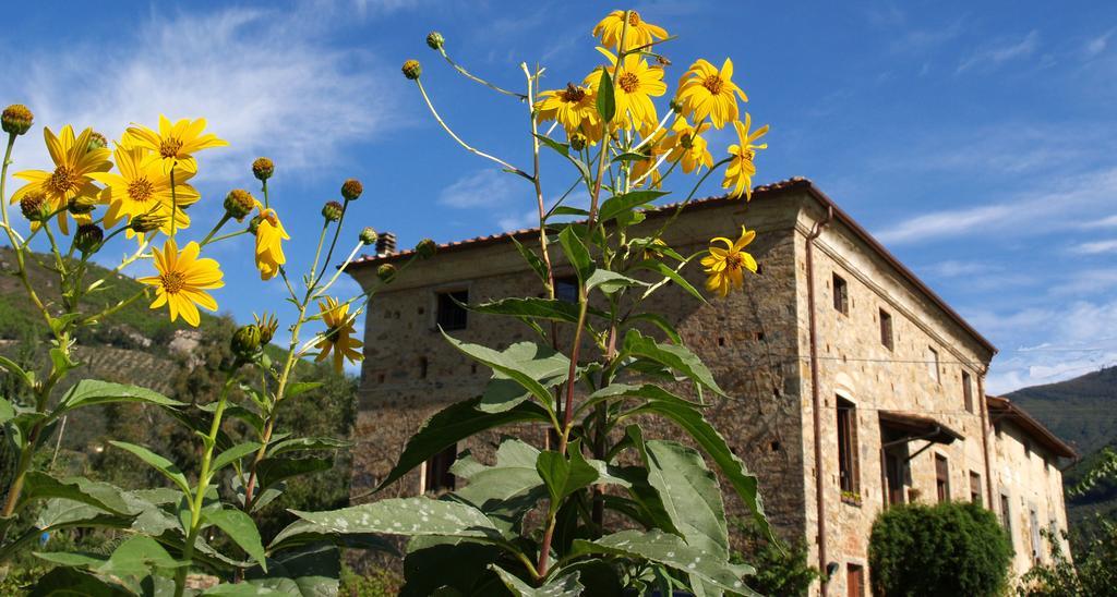 Al Palazzaccio Villa Calci Phòng bức ảnh
