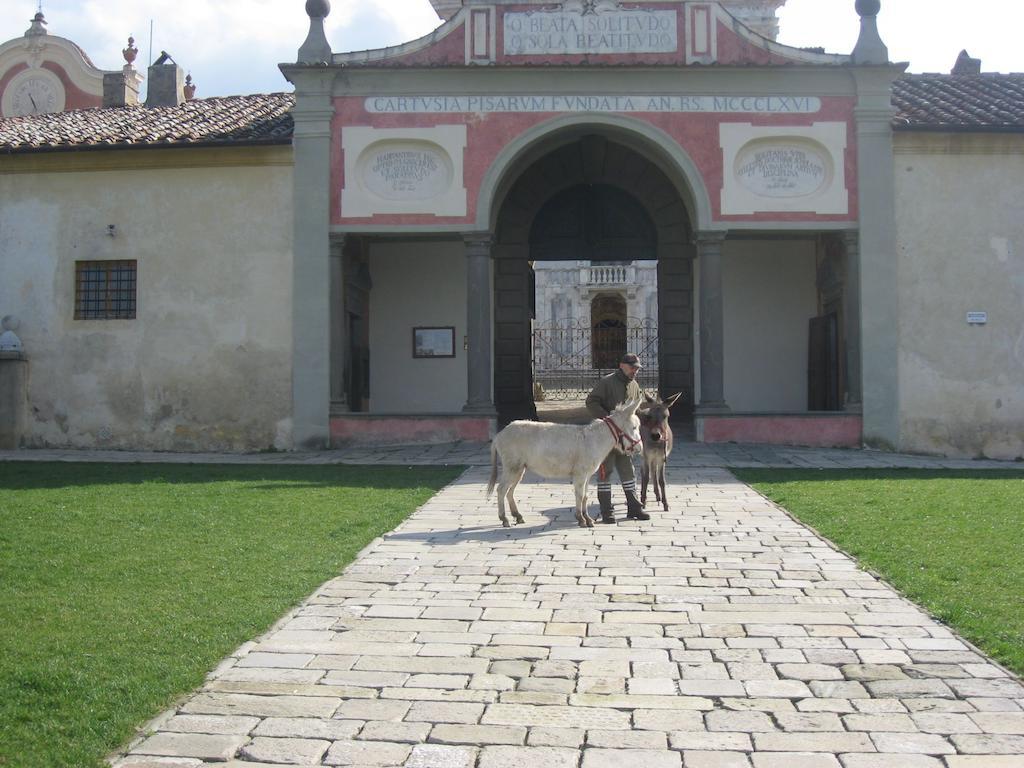 Al Palazzaccio Villa Calci Ngoại thất bức ảnh